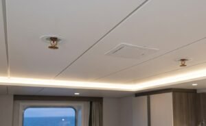 sprinkler system onboard and design errors
